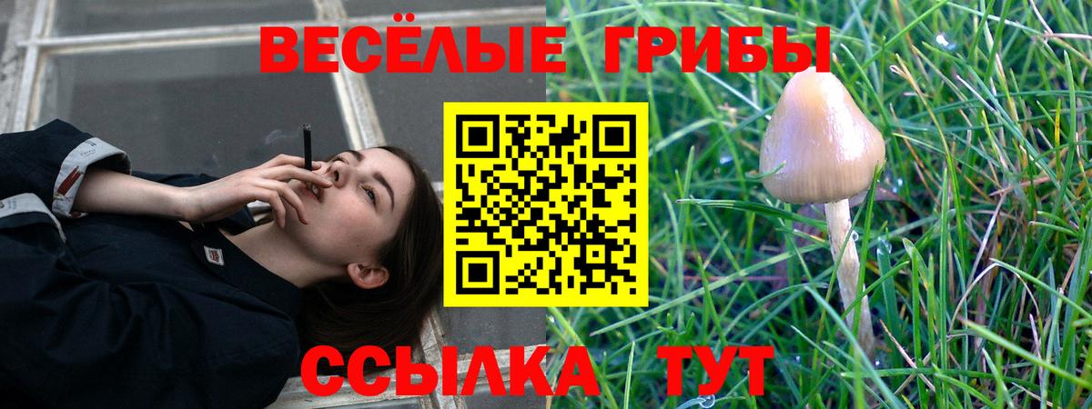 Рыбинск  Псилоцибиновые грибы GOLDEN TEACHER  Вход с VPN  Галлюциногенные грибы мицелий 
